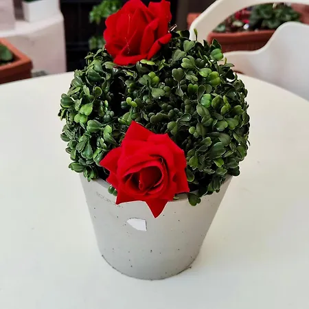 La Borghese